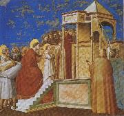 Presentation of the Virgin in the Temple, GIOTTO di Bondone